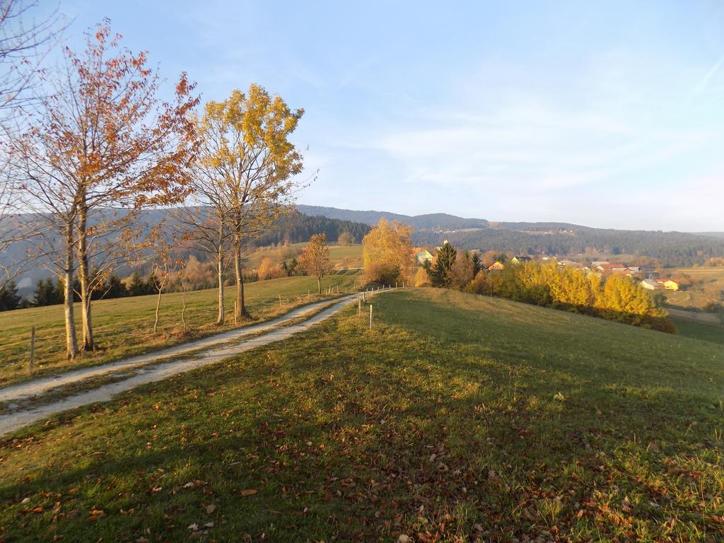 Oplotnica Apartment Zeleni Dragulj Pohorje מראה חיצוני תמונה